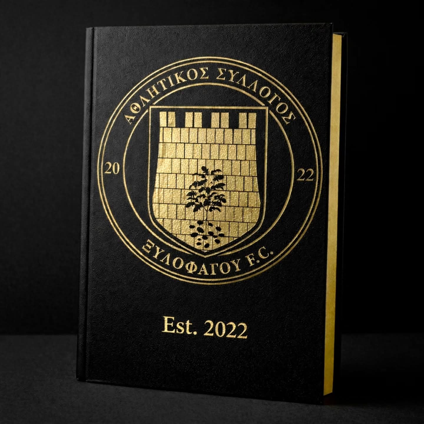 FB_IMG_1772995323563